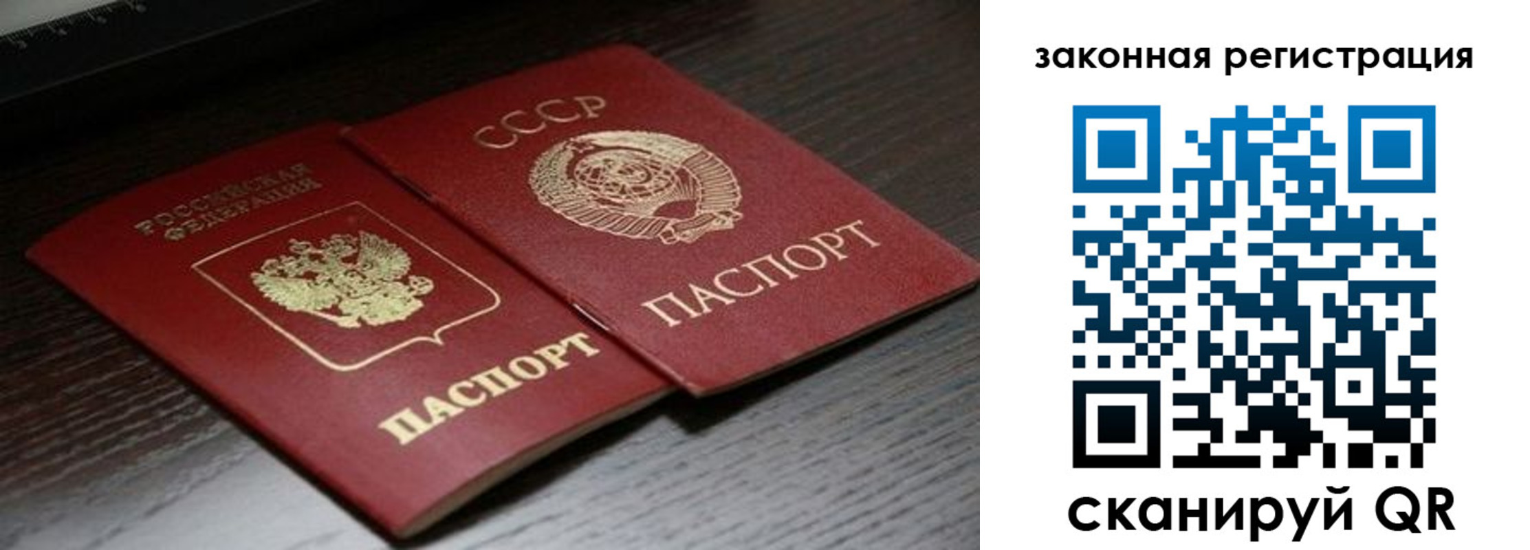 прописка поиск в Трубчевске